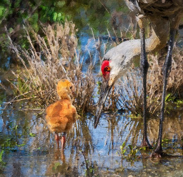 Bình Yên Bên Mẹ