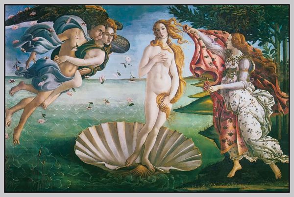 THE BIRTH OF VENUS
