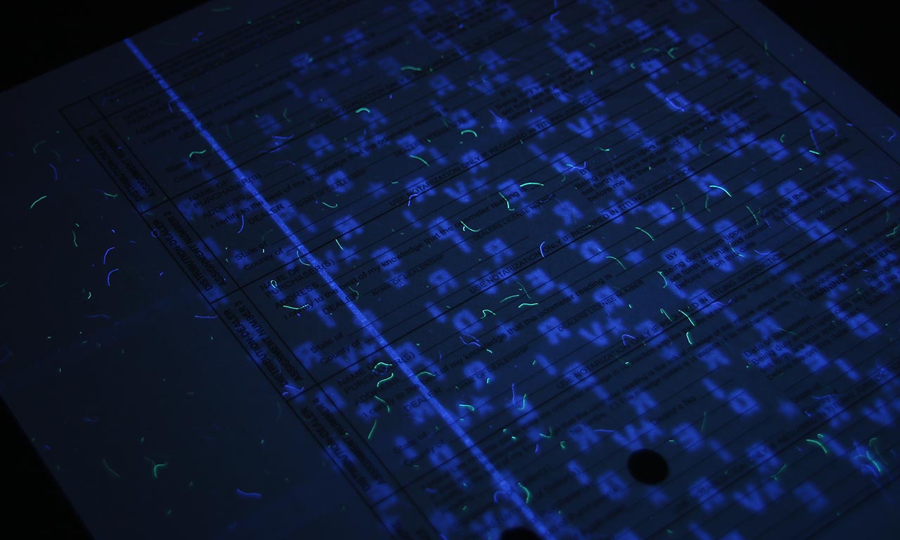 GIẤY CHỨNG NHẬN NGÂN HÀNG - Ảnh 6