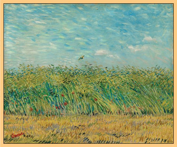 CÁNH ĐỒNG LÚA MÌ VỚI CHIM CÚT