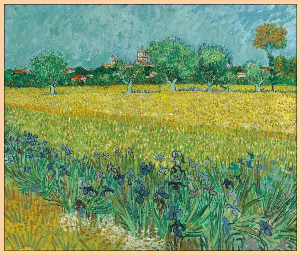 CÁNH ĐỒNG HOA DIÊN VĨ GẦN ARLES