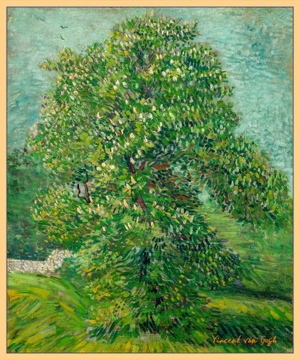 CÂY DẺ NGỰA NỞ HOA