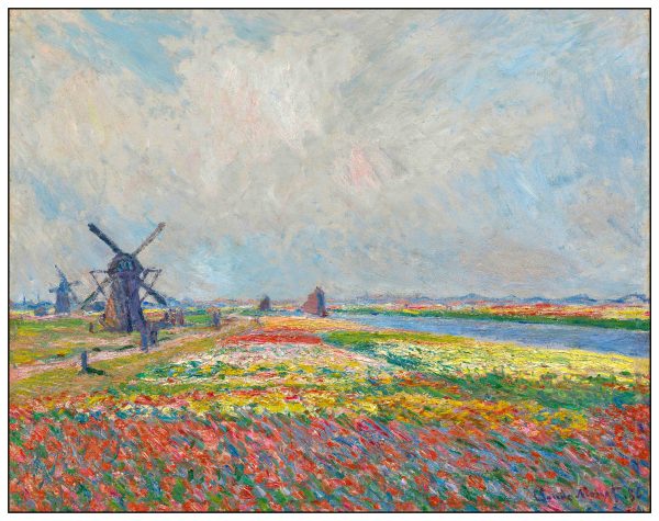 CÁNH ĐỒNG HOA TULIP