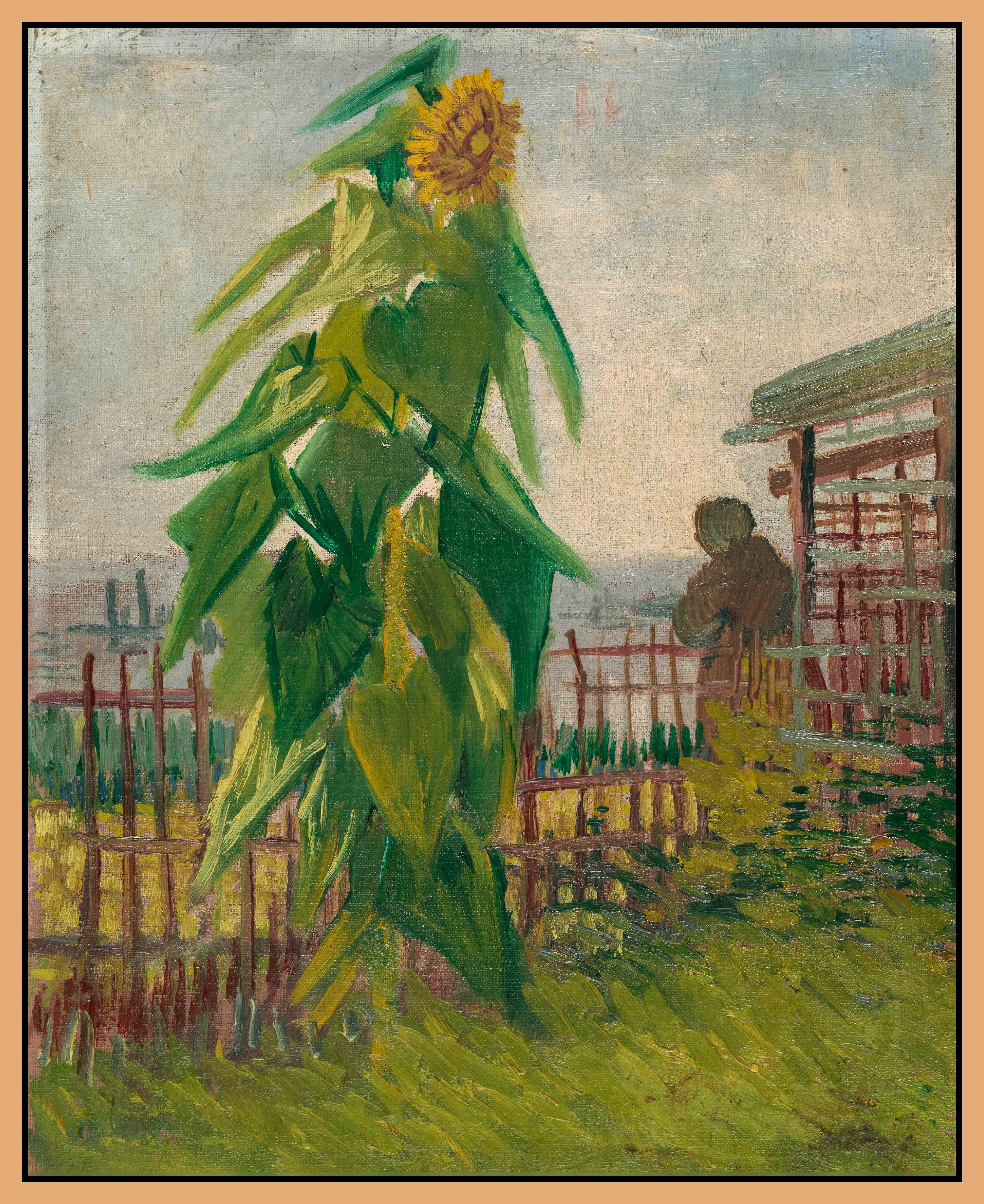 HOA HƯỚNG DƯƠNG