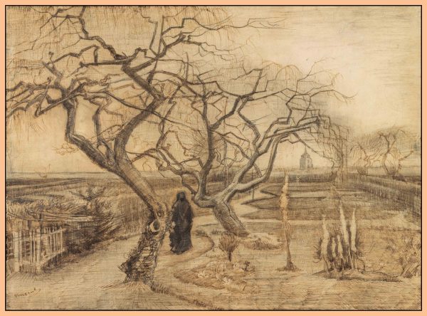 KHU VƯỜN MÙA ĐÔNG