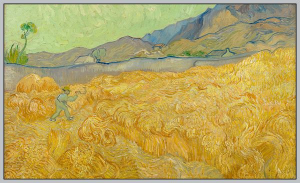 CÁNH ĐỒNG LÚA MÌ VỚI MỘT REAPER