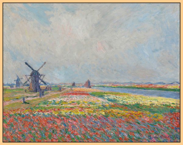 CÁNH ĐỒNG HOA TULIP