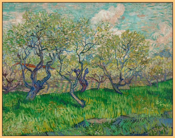 VƯỜN CÂY ĂN QUẢ NỞ HOA