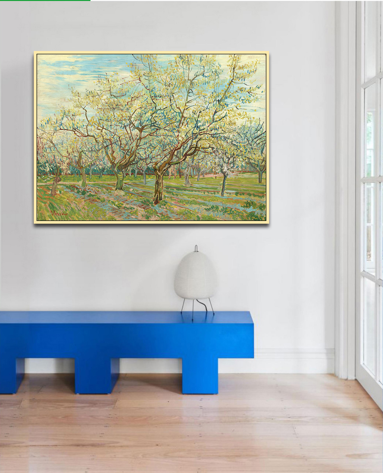 VƯỜN CÂY ĂN TRÁI MÀU TRẮNG - Ảnh 2