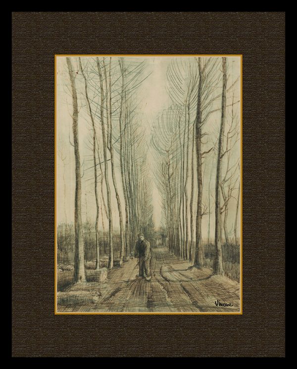 ĐẠI LỘ CÂY DƯƠNG